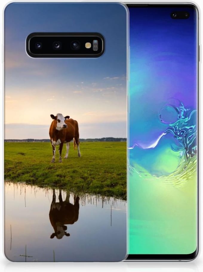 Samsung Galaxy S10 Plus TPU Hoesje Koe