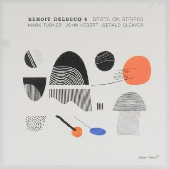 Spots On Stripes - Benoit Delbecq