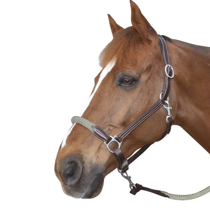 Lederen paardenhalster met touw Canter
