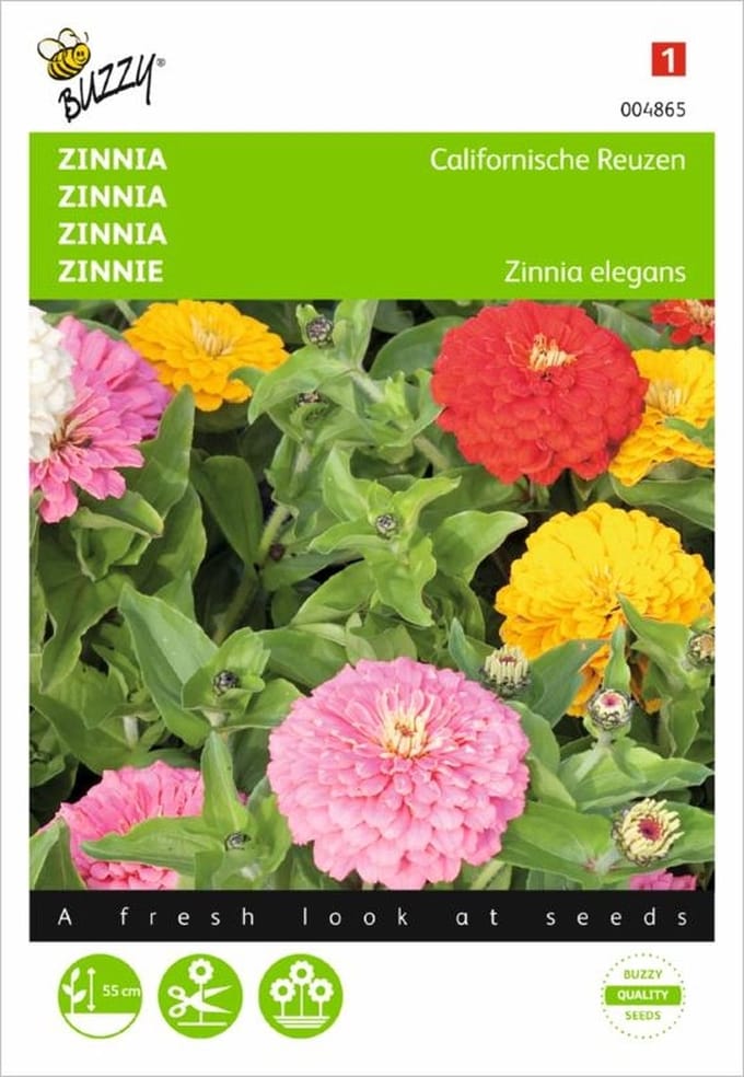 Zinnia Californische Reuzen - Zinnia elegans