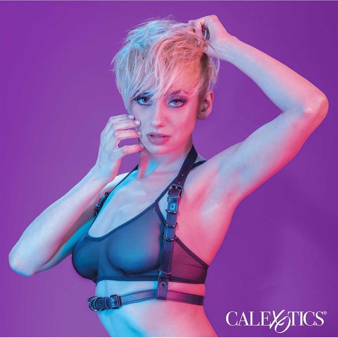 CalExotics Euphoria Halter Gesp Harnas