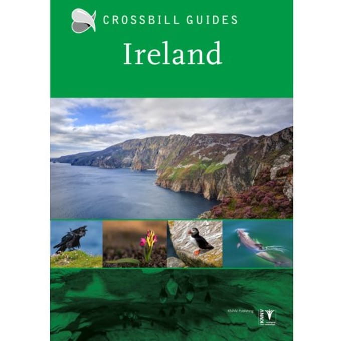 Ireland - Crossbill Guides - Carsten Krieger