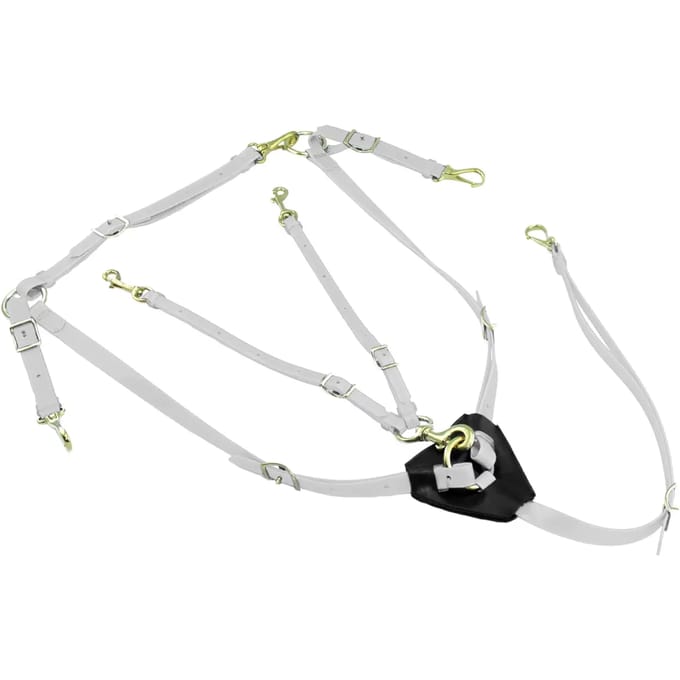 Biothane jachtcollier met martingale voor paard Lakota