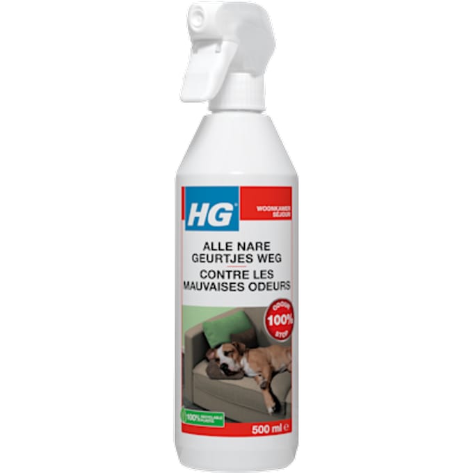 Hg Allesreiniger Alle Nare Geurtjes Weg - 0,5l
