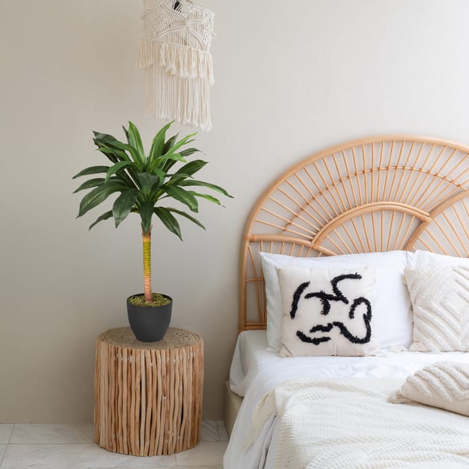 Kunstplant DRACAENA I Groen hjh OFFICE