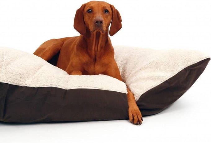 51 - Sheep - Pillow - Beige/Brown - M: 100x70cm