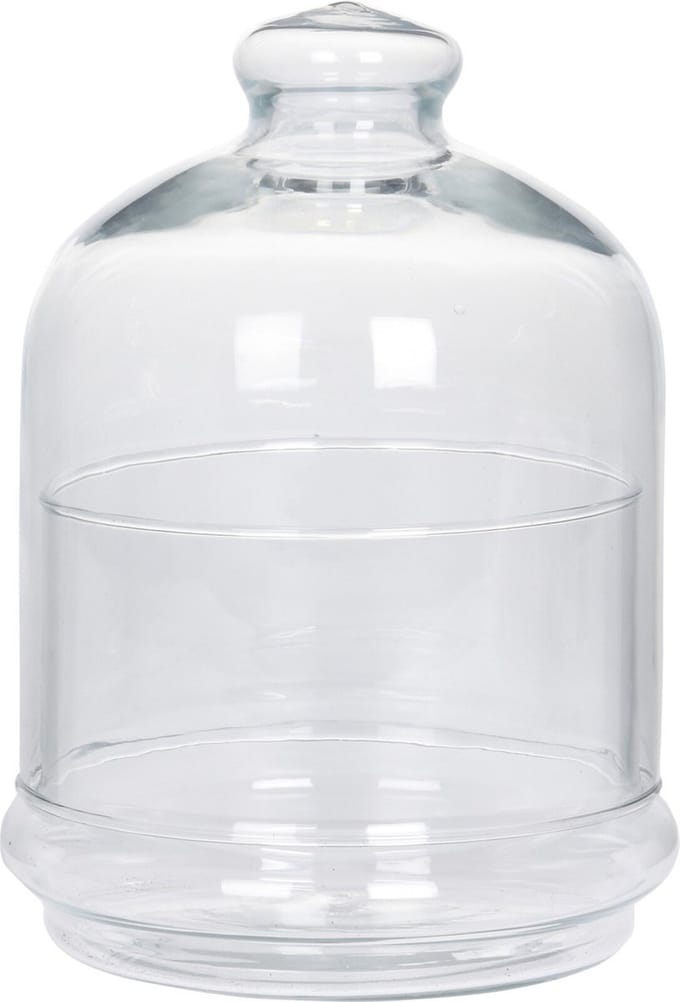 Excellent Houseware = Glazen Stolp - Diameter 14 cm x 18 cm hoogte -Glass Boll - Sier decoratie