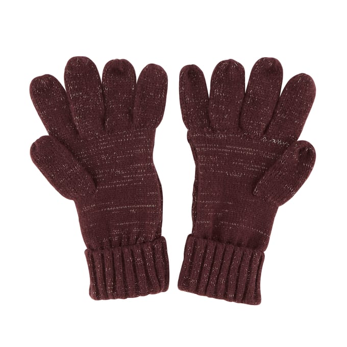 Regatta Dames/dames Winterhandschoenen (Paars)