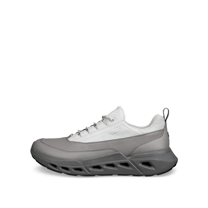 Baskets Ecco Biom 720 Low GTXS Lea