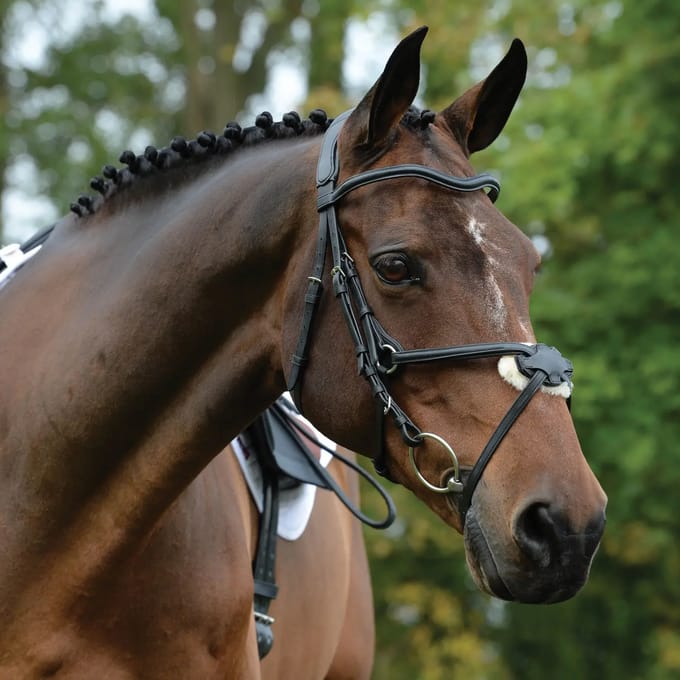 Hoofdstellen Weatherbeeta Collegiate Comfitec