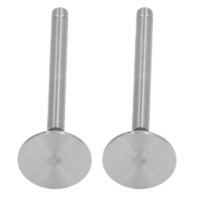 2 STUKS Inlaat Uitlaat Klep Set Legeringsstaal Braamvrij Generator Kleppenset voor Mini Tuinfrees
