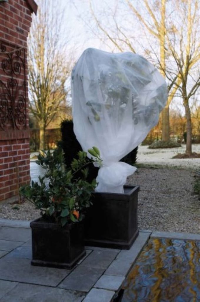 Wovar Beschermhoes Planten Wit 1000 x 64Ø cm | Per Stuk