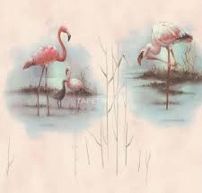 Flamingo behang 6791-16
