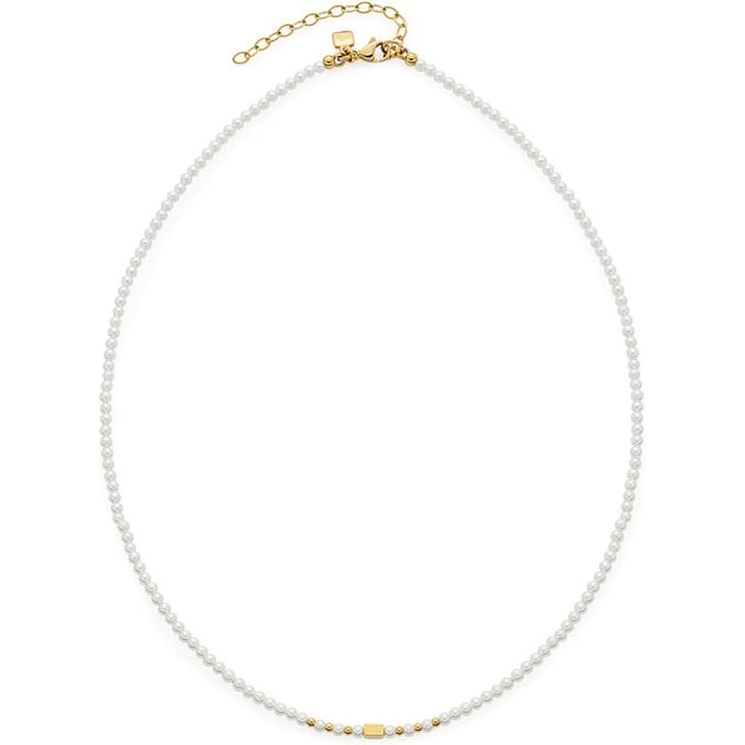 Leonardo Ketting 022118