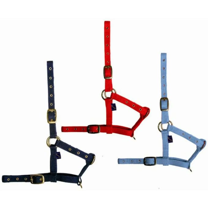 Nylon halster voor veulens Tattini