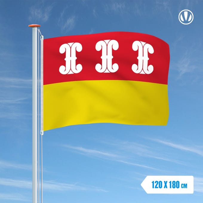 Vlag Wijk Bij Duurstede 120x180cm