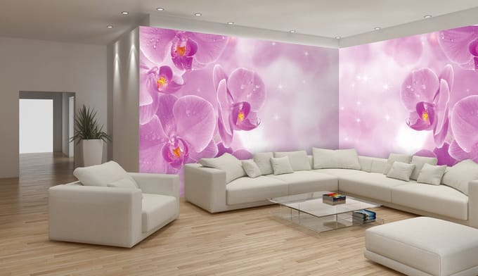 Fotobehang Vlies Bloemen, Orchidee | Paars | GROOT 832x254cm