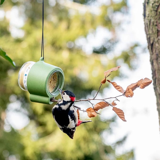 CJ Wildlife - Pindakaaspothouder Rio - Groen - Vogelvoederplek