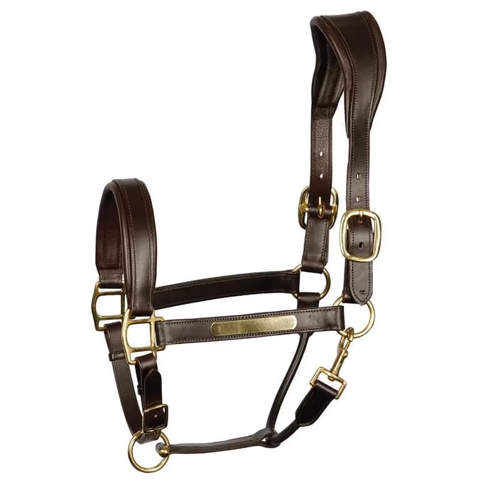 Harry's Horse Halster anatomic Brown - Cob | goud | Halstertouw paard