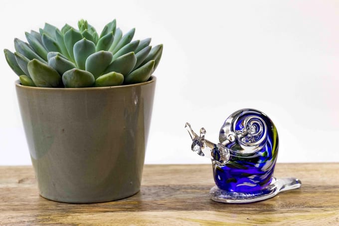 Glazen Slak Blauw met Kleur L12 cm