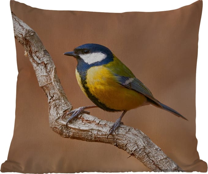 Buitenkussen - Vogel - Koolmees - Takken - 45x45 cm - Weerbestendig
