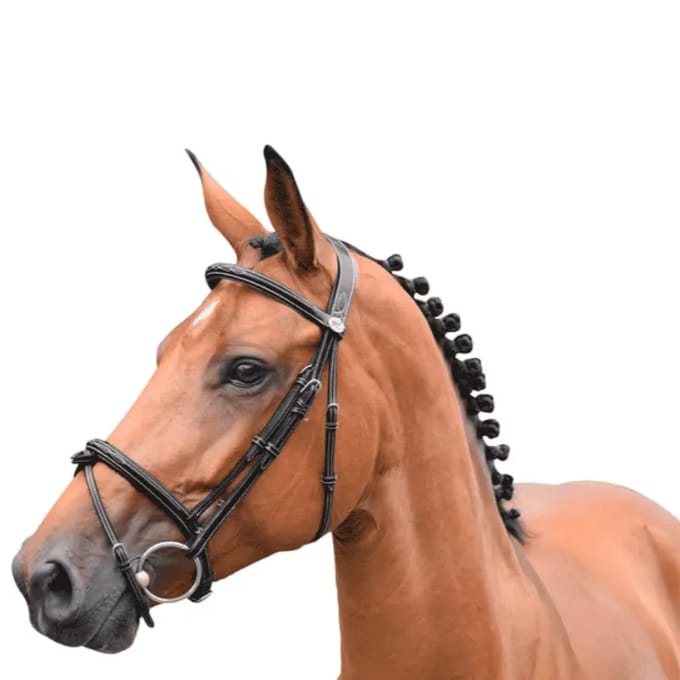 Engels gecombineerd hoofdstel met anatomische neusriem Jump'In Thursday