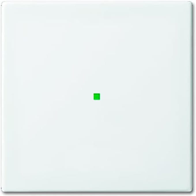 ABB Busch-Jaeger Busch-FreeAtHome Schakelelement/Centrale Plaat - 2CKA006220A0355 [2 stuks].