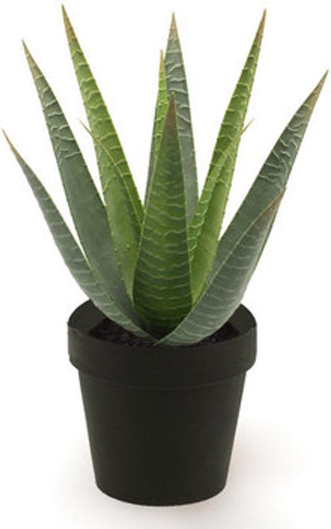 Emerald - Kunstplant in pot Aloe Vera 32cm - Kunstplant voor binnen