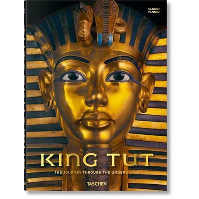 King Tut. The Journey through the Underworld Boek