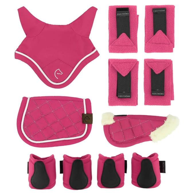 Ensemble van miini accessoires Equithème Pony Academy