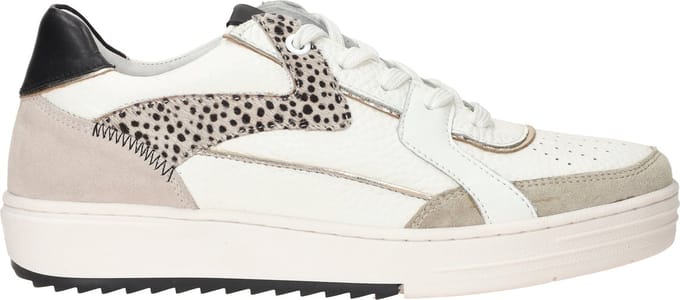 Maruti - Alfie Sneakers Cappuccino - Cappuccino - White - Pixel Off - 36