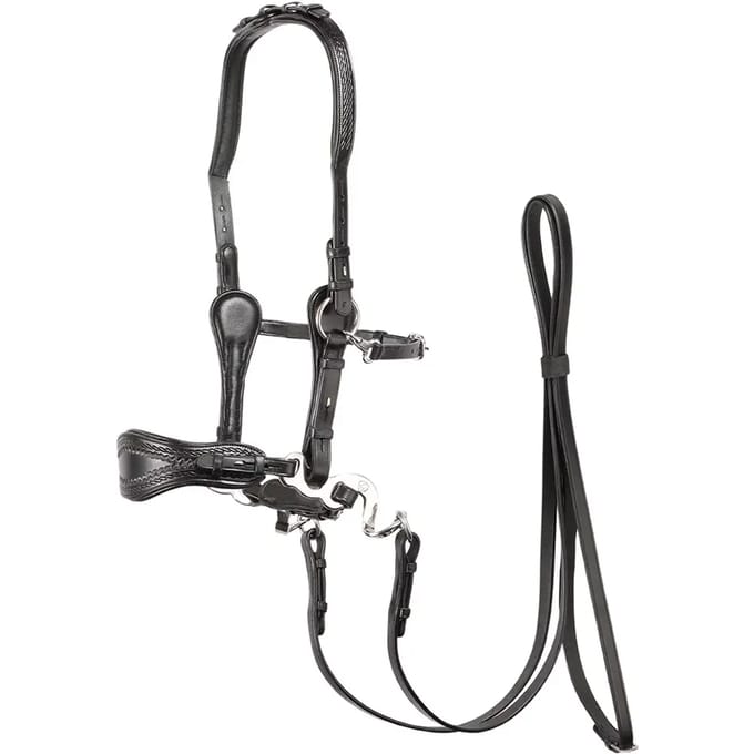 Hoofdstellen Edix Saddles ED4- Jazz