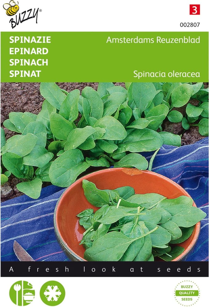 Spinazie Amsterdams Reuzenblad scherpzaad 20 gram