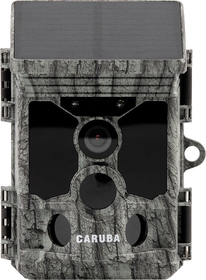 Caruba Raccoon Solar 4K Wildcamera