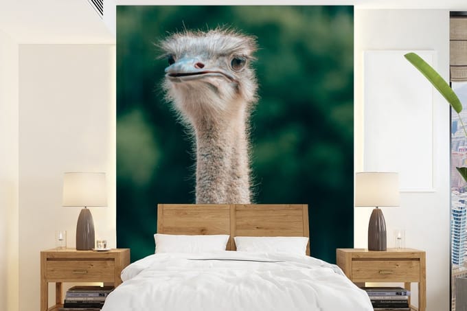 Behang - Fotobehang Close-up van een struisvogel - Breedte 190 cm x hoogte 260 cm