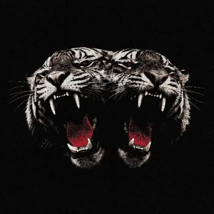 Royal Blood CD - Dead Company - voor Geen - standaard