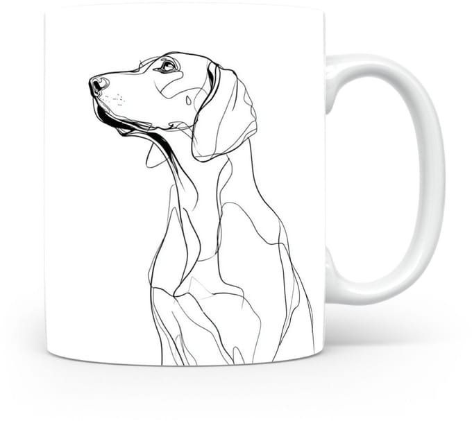 Beker Schillerstövare (Schiller Hound)