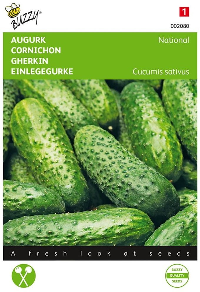 Buzzy® Augurk National, Kleine Groene