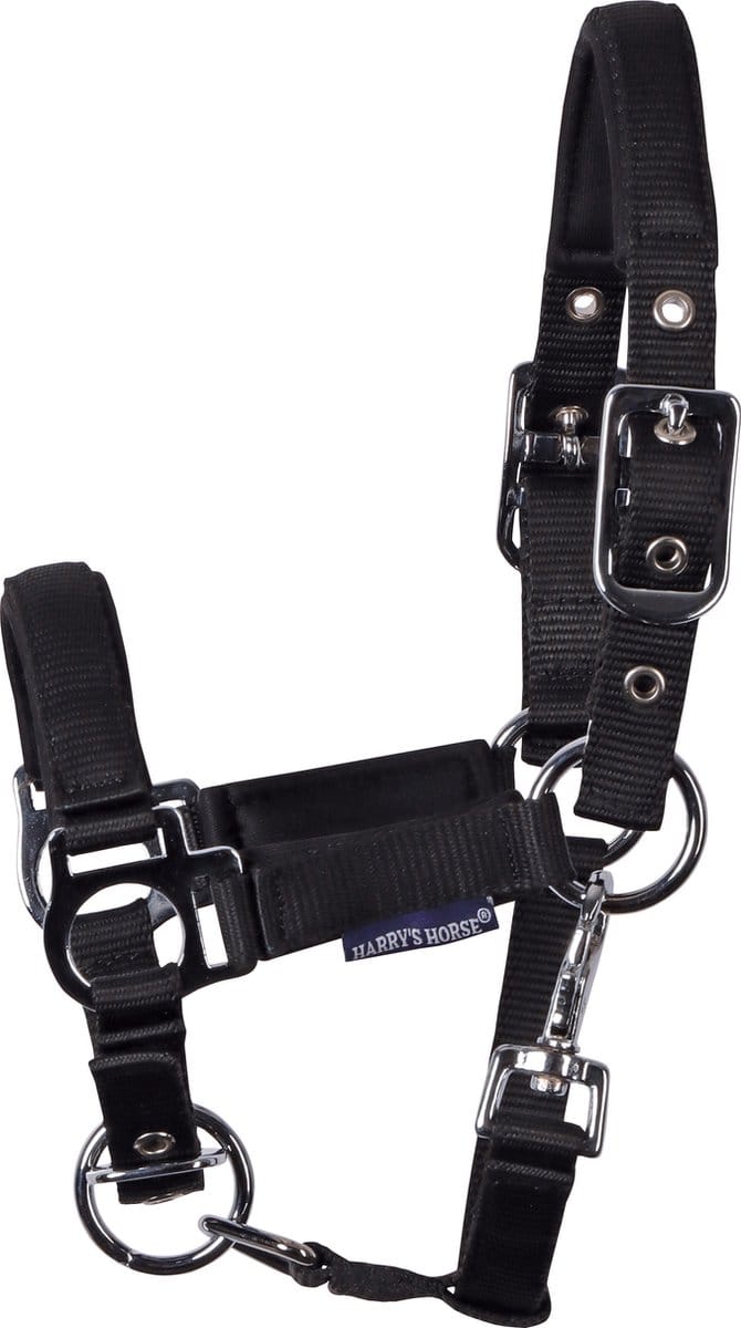 Harry's Horse - Veulenhalster - Padded - Zwart - Mini Veulen