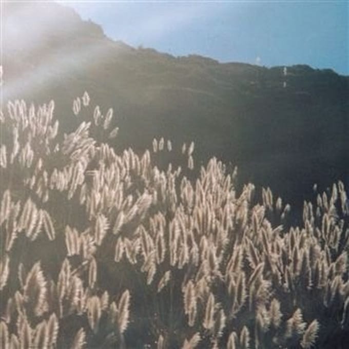 Blithe Sons - The Great Orthochromatic Wheel (LP)