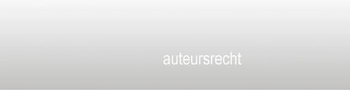 Flame Classics Aansteker gasbus - butaan gasfles 250 ml - 2 stuks