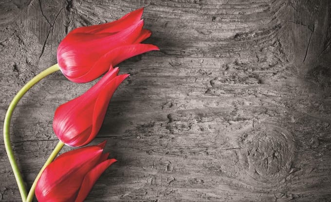 Poster | Rood | 104 x 70,5 cm