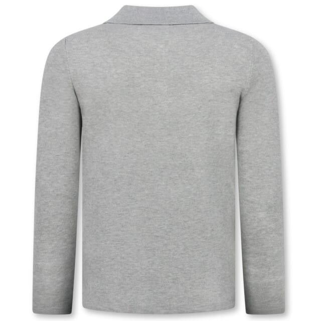 Trui Heren - Polo Shirt Heren Lange Mouw - 536 - Grijs