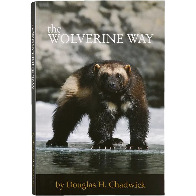 Boek Patagonia The Wolverine Way