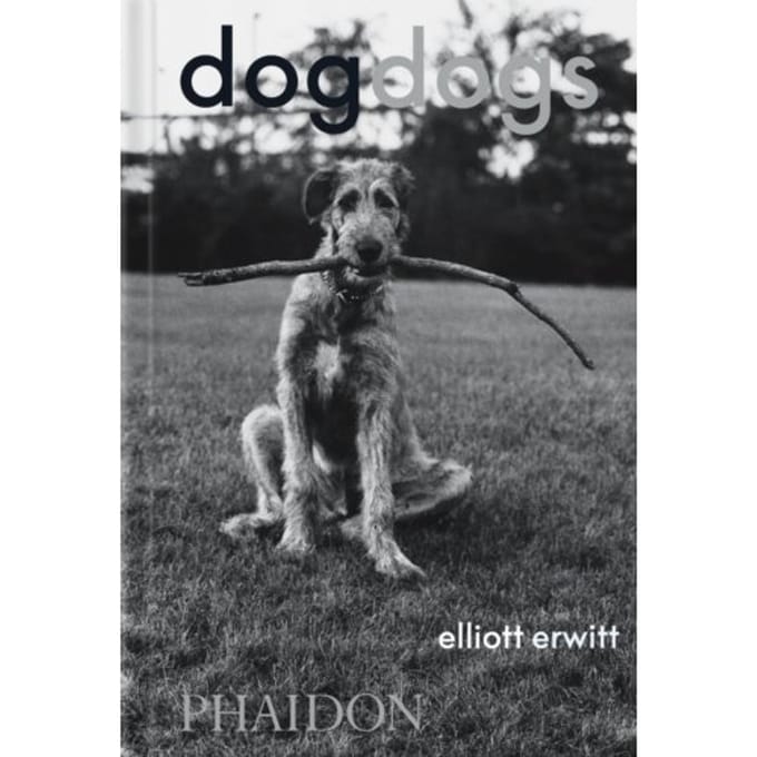 Dogdogs - P G Wodehouse