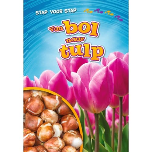 Van Bol Naar Tulp - Stap Voor Stap - Rachel Grack