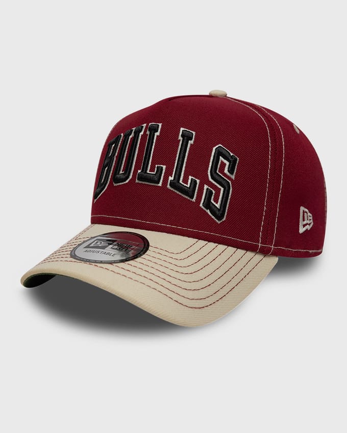 CITY ICON EFRAME CHICAGO BULLS