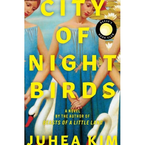 City Of Night Birds - Juhea Kim