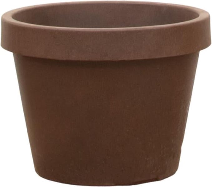 Lira Bronze - D65 x H58