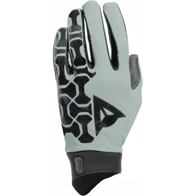 Lange handschoenen Dainese HGR
